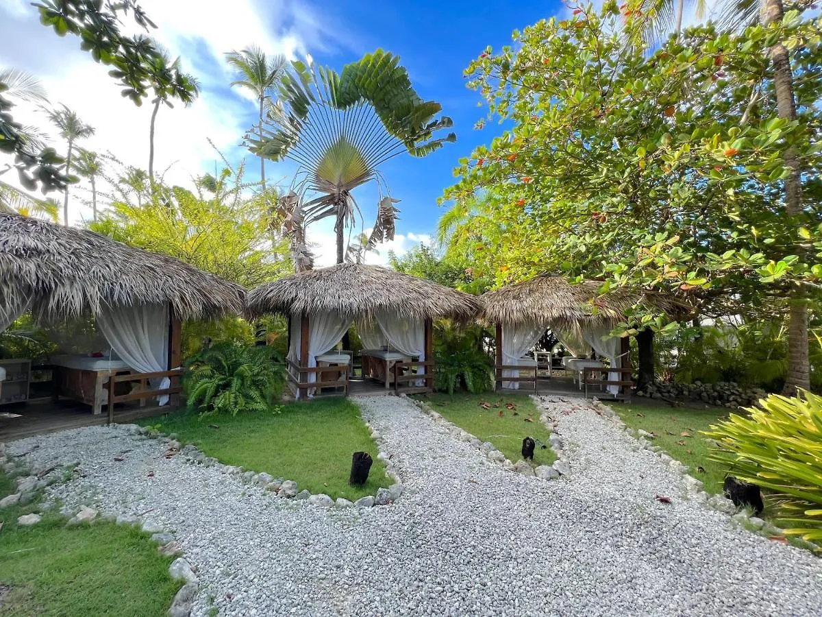 Vacation Suites With Rooftop Pool, Beach Club, Spa, Restaurants - Ducassi Collection - Playa Los Corales Punta Cana Hotel